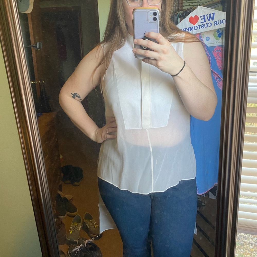 Chic Sheer BCBGMaxAzria Top